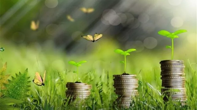 أهم 5 معلومات عن التجارة الخضراء بعد التوجه العالمي تجاهها