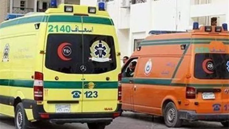بالأسماء.. إصابة 4 في تصادم نقل وملاكي بالدقهلية