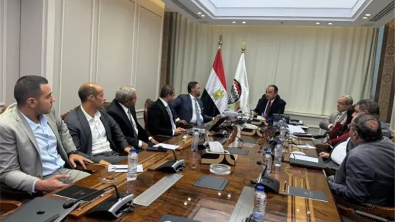 وزير قطاع الأعمال يتابع مع وفد 