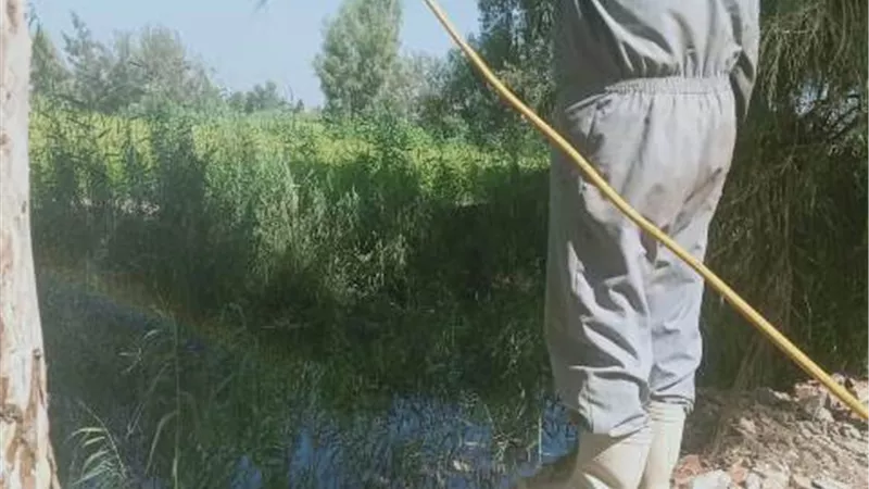 الشرقية تكثف جهودها في مكافحة الذباب والبعوض وناقلات الأمراض