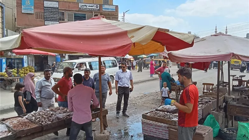 ضبط أسماك ولحوم غير صالحة للاستهلاك الآدمى بكفر الشيخ