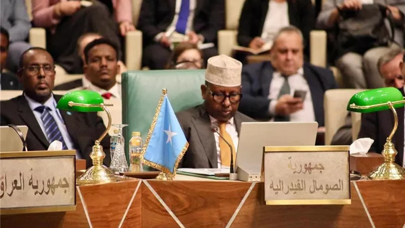 وزير الخارجية الصومالي: مصر تلعب دورًا داعمًا للصومال عبر التاريخ