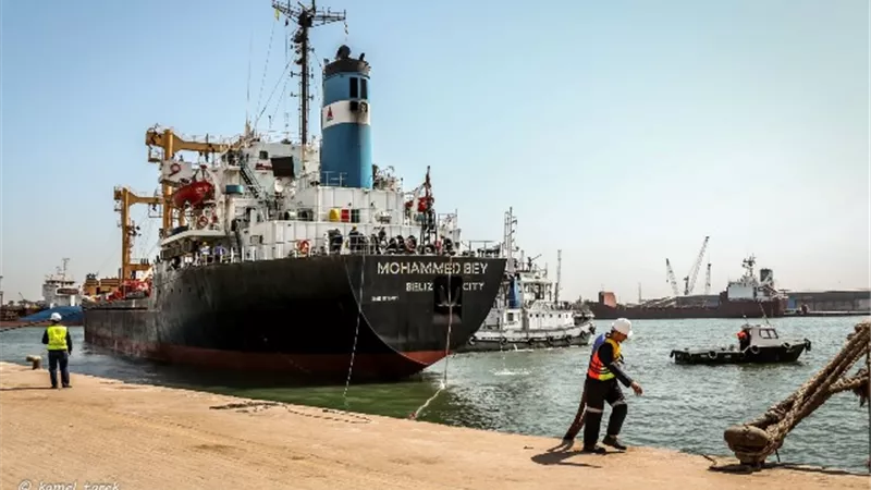 ٢٨ سفينة و ٢٤٦٩ شاحنة علي أرصفة ميناء دمياط