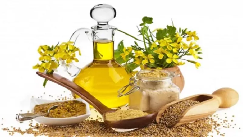 5 آثار جانبية لزيت الخردل .. أبرزها تهيج الجلد والعين