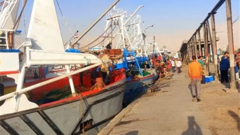 إنطلاق موسم الصيد ٢٠٢٤ في خليج السويس بعد توقف ٤ اشهر