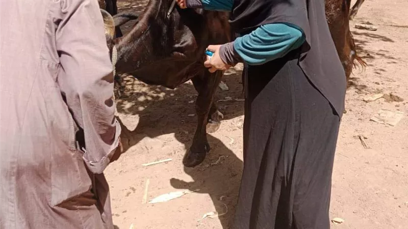 ورشة عمل لتعزيز الحماية من الامراض المشتركة بين الانسان والحيوان