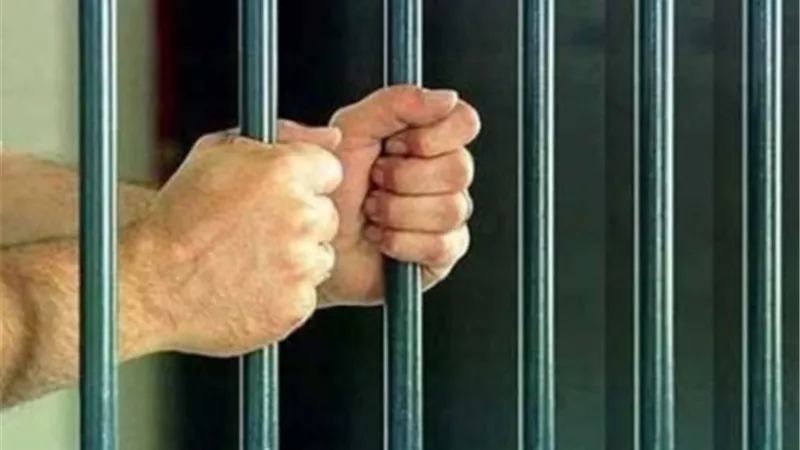 المشدد 10 سنوات لمحام انهى حياة موكله عمداً بشبين القناطر