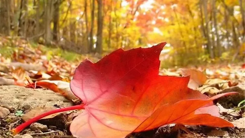 من اعظم الذكر ..يمحو عنك الف الف سيئة
