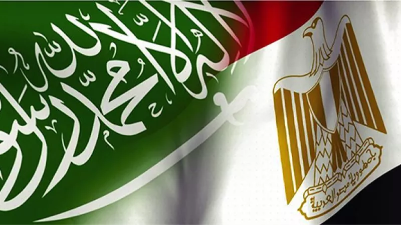 أهم 11 معلومة عن اتفاقية حماية وتشجيع الاستثمارات المصرية السعودية