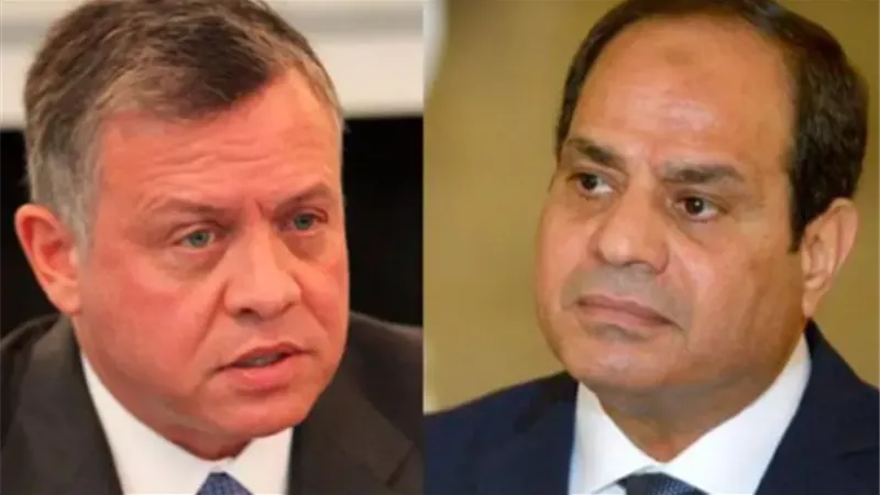 السيسي وملك الأردن: نرفض تصفية القضية وتهجير الفلسطينيين