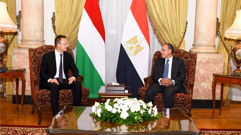 وزير الخارجية: وقعنا مذكرة تعاون مع المجر في مجال تكنولوجيا المفاعلات النووية