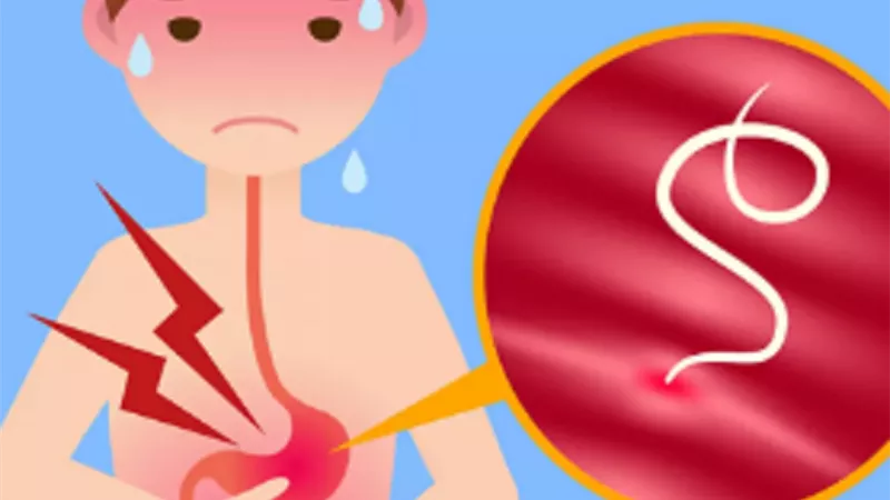 طرق الوقاية من الديدان