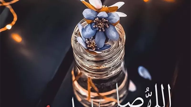 جوده ﷺ عطاؤه عطاء من لا يخشى الفقر