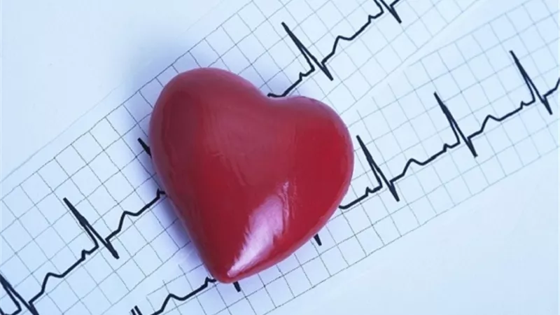 العلماء الروس يختبرون طريقة جديدة لعلاج عدم انتظام ضربات القلب
