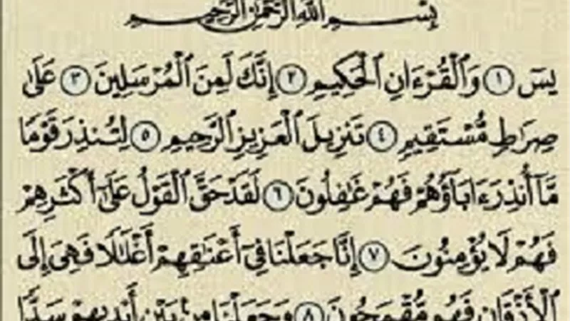 يس .. قلب القرآن