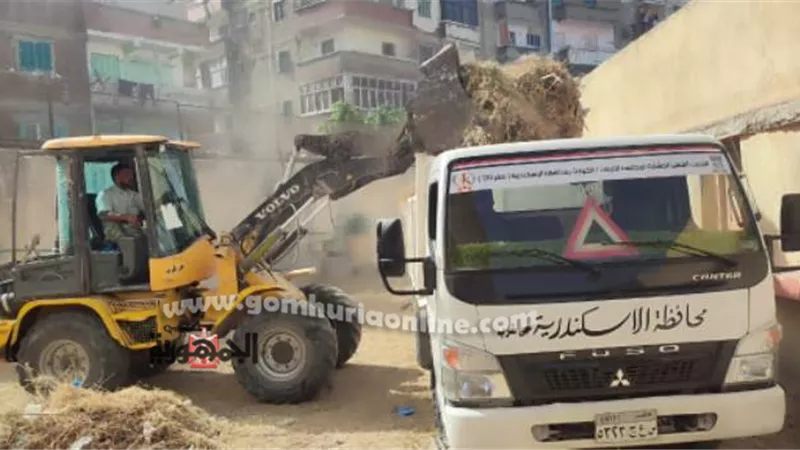 حملات نظافة مكبره حول المدارس بنطاق حى غرب الإسكندرية
