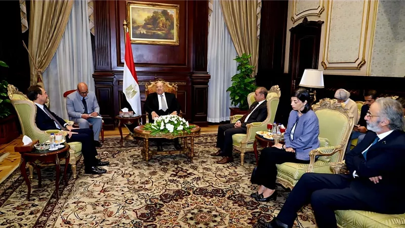 رئيس مجلس الشيوخ: مصر وفرنسا تجمعهما علاقات تاريخية وممتدة