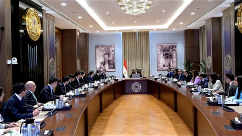 مدبولي: مشروع 