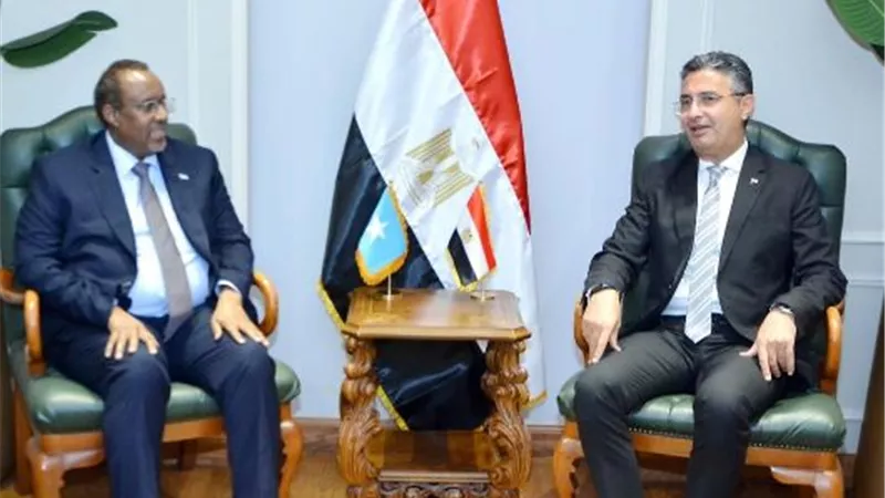 سفير الصومال يدعو لتعزيز التعاون بين رجال الأعمال المصريين والصوماليين