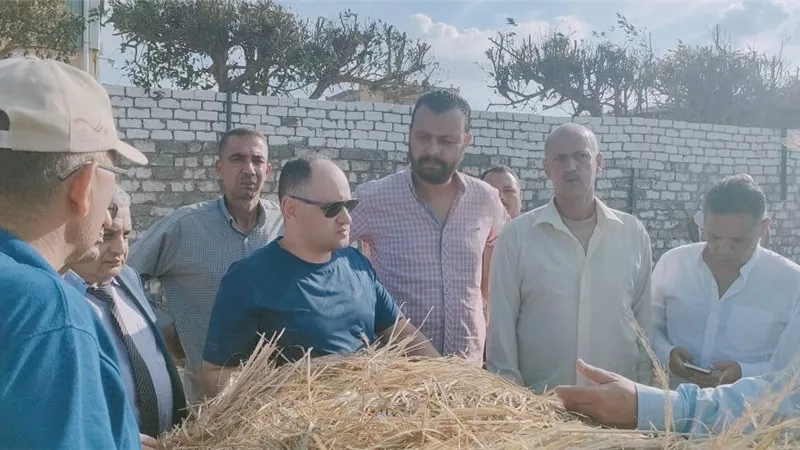 جولات ميدانية لمتابعة منظومة قش الأرز بمحافظة كفر الشيخ