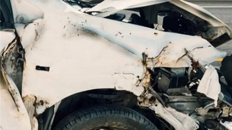 وفاة فنان سورى وزوجته في حادث أليم