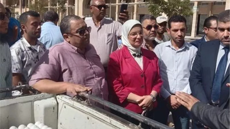 الزراعة تطلق منافذ متحركة لبيع بيض المائدة بأسعار مخفضة للمواطنين