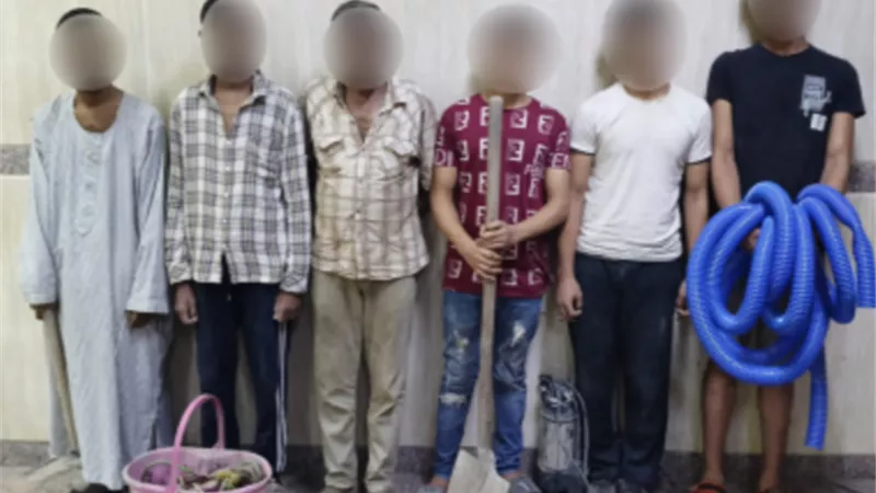 تفاصيل ضبط 6 أشخاص ينقبون عن الآثار بالقاهرة