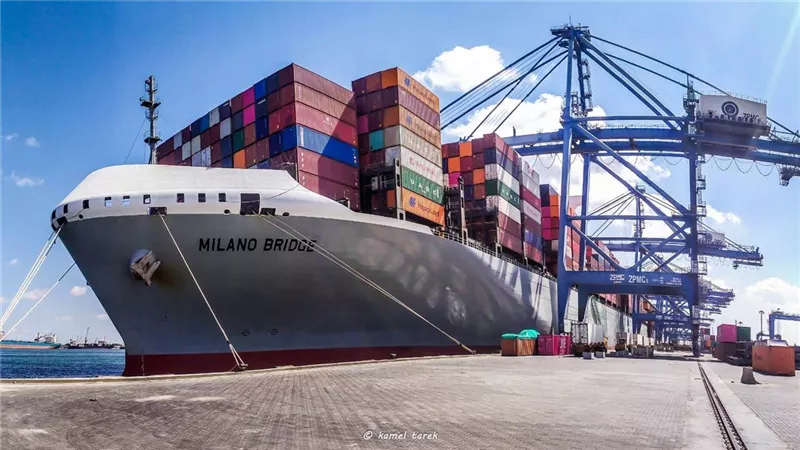 تصدير ١٦١٩ حاوية خضار وفاكهة من ميناء دمياط إلي أوروبا