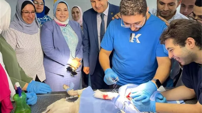 جامعة دمنهور تطلق حملة رائدة لتعقيم وتحصين الحيوانات الضالة