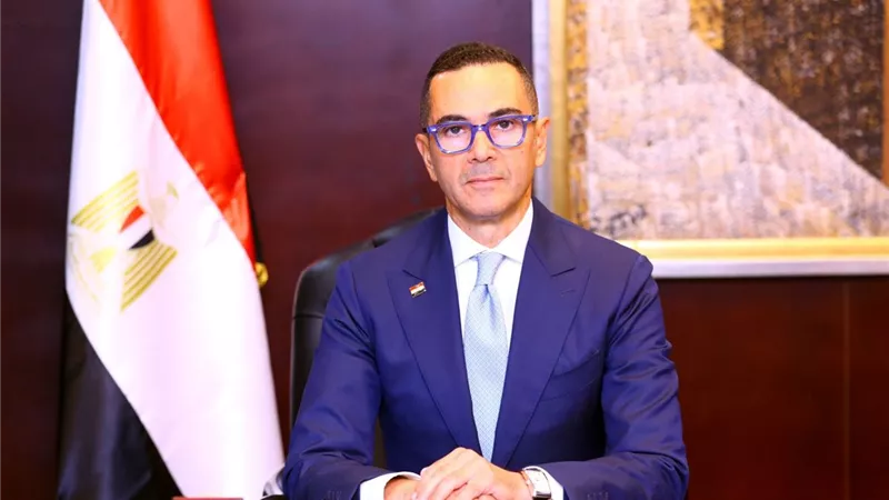 وزير الاستثمار يلتقي الرئيس التنفيذي ل
