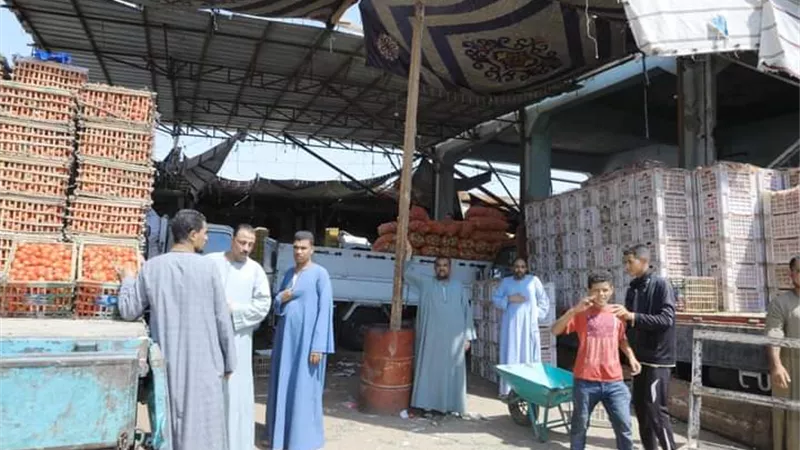 محافظ سوهاج يتابع سير العمل بمجمع المواقف الجديد بحى غرب