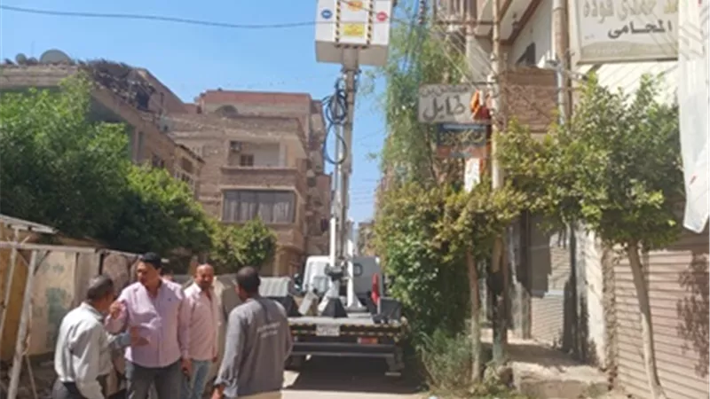 أبو حطب : تهذيب الأشجار وإنارة شوارع قويسنا محافظة المنوفية