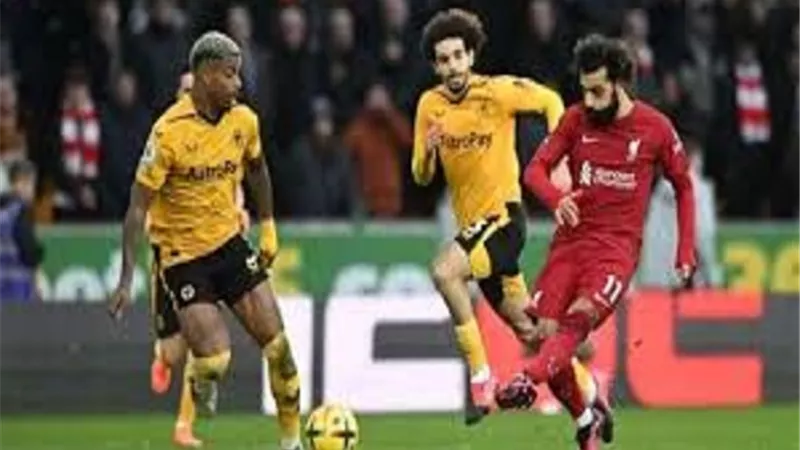 موعد مباراة ليفربول وولفرهامبتون فى الجولة السادسة للبريميرليج