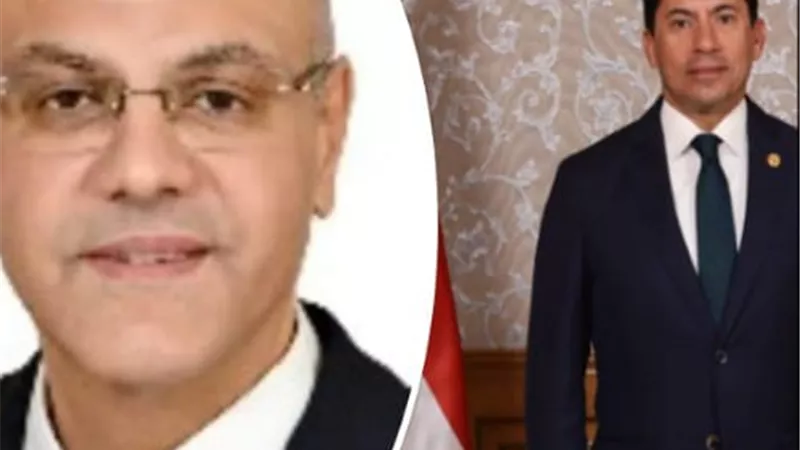 الدكتور وليد فرماوى