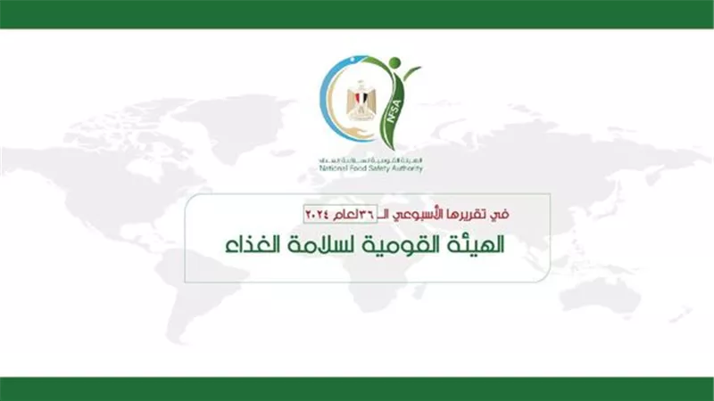 اليمن والسودان والمغرب والسعودية أكبر الدول المستقبلة لصادرات مصر