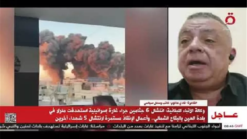 محلل سياسي: قد لا نرى حزب الله بعد نصر الله مثلما كان من قبل