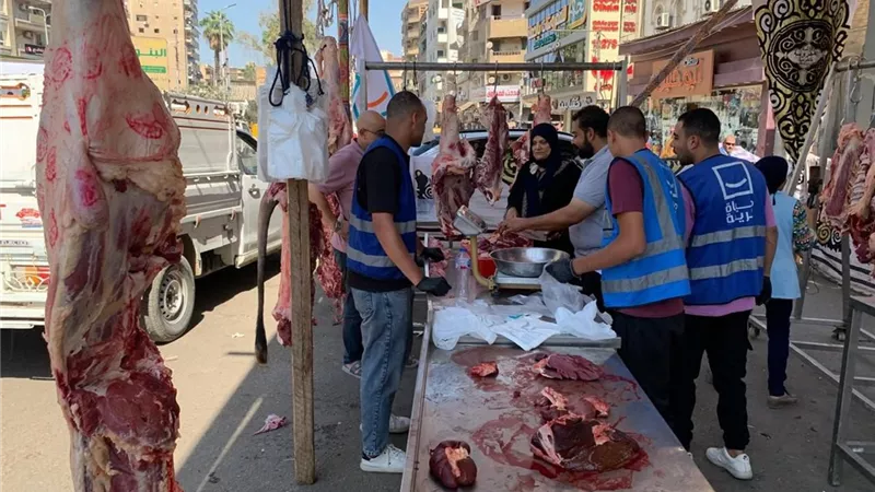 سعر الكيلو الطازج 310 جنيه.. شوادر اللحوم لـ