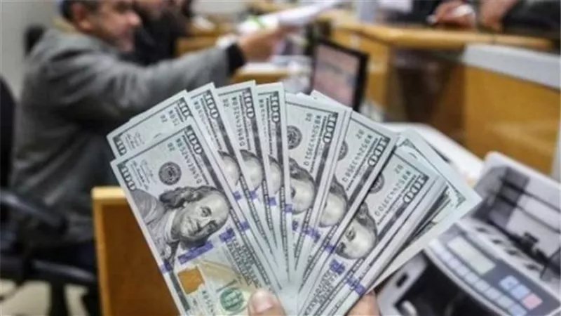 ضبط قضايا اتجار في النقد الأجنبي بـ 18 مليون جنيه