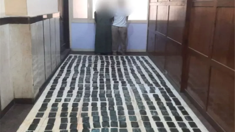 بـ 40 كيلو حشيش.. القبض على مجرمين في الإسكندرية