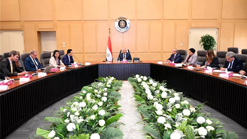 عاجل .. إنشاء مصنع لتوطين المحللات الكهربائية في مصر