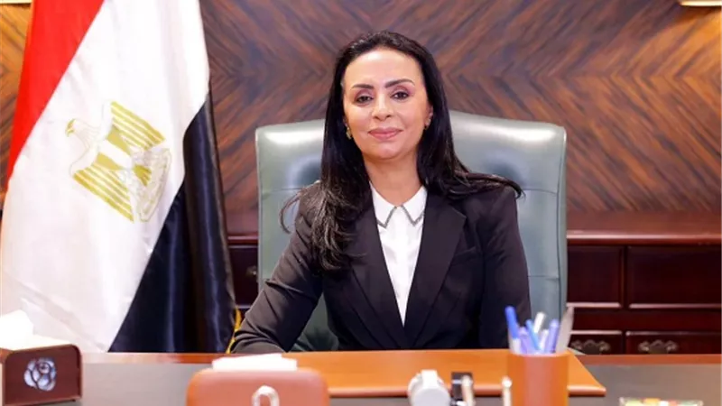 التضامن: تقديم مساعدات 