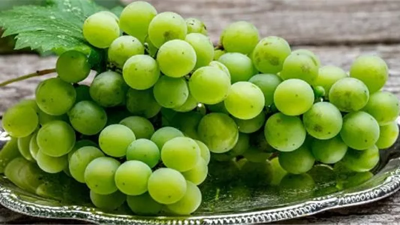 فوائد العنب الأخضر على الصحة