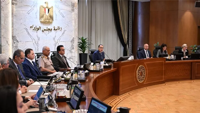 الوزراء : 2200 جنيه سعر استرشادي لأردب القمح لموسم 2024/ 2025