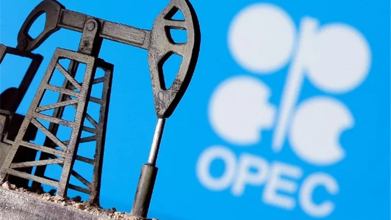 أوبك تنفى ما ذكر في تقرير