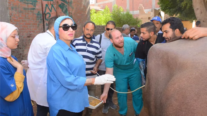 جامعة أسيوط تطلق قافلة بيطرية شاملة إلى قرية بهيج