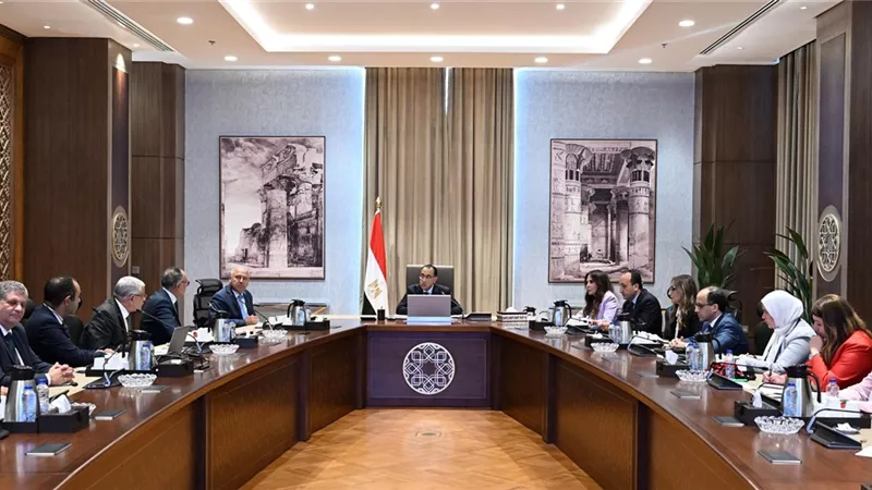 رئيس الوزراء يلتقي مسئولي الشركة المصرية العالمية للسيارات