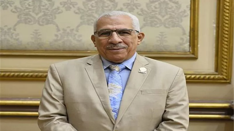 النائب مجدي سليم رئيسا للجنة الطاقة والبيئة بمجلس الشيوخ