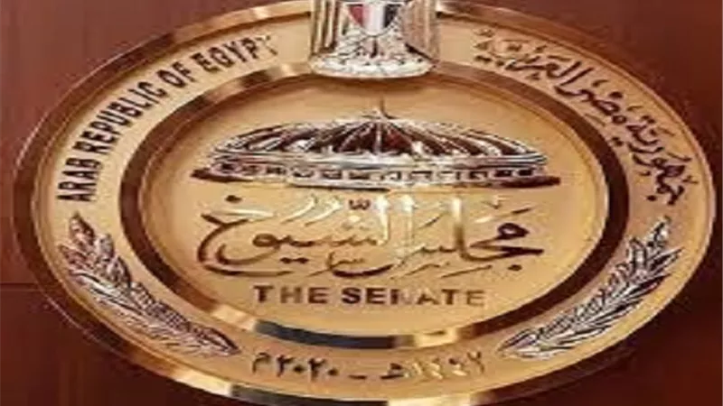 ننشر نتيجة انتخابات هيئات مكاتب اللجان النوعية لمجلس الشيوخ