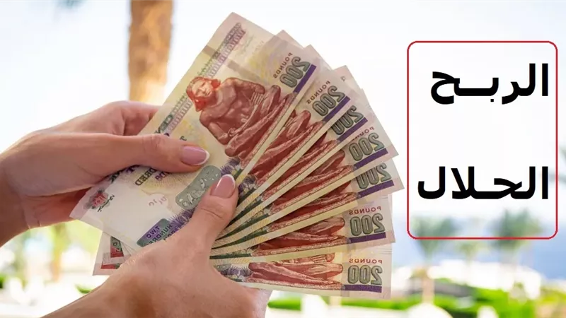 بالفيديو| النسبة الحلال للربح في التجارة