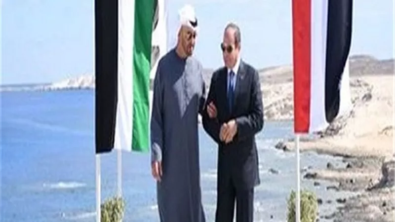 الرئيس السيسي والشيخ